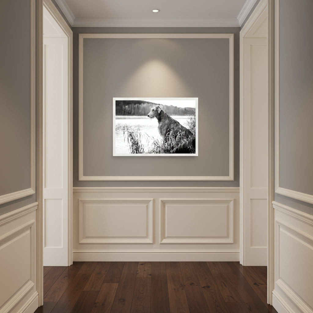 Gallery hallway with Irish Wolfhound framed print — museum lighting neutral tones