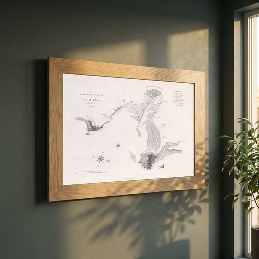 A Correct Survey of the Bay of Dublin, 1795 framed print in a natural oak frame on a dark green wall beside a window, dappled plant shadow