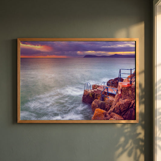 Vico Swimming Dalkey framed print in a natural oak frame on a dark green wall beside a window, dappled plant shadow