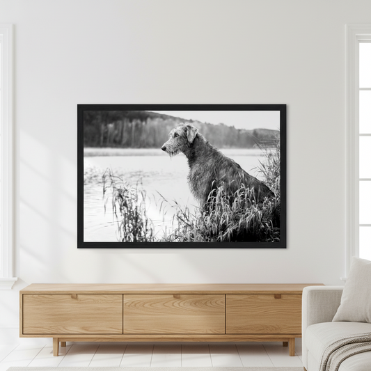 Irish Wolfhound Framed Print | Black & White Wall Art | Irish Heritage Gift