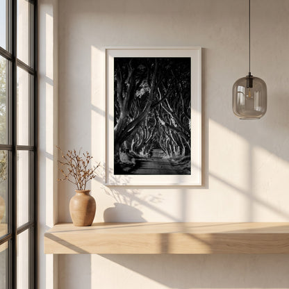 Dark Hedges framed print in a white frame on a plaster wall above an oak worktop in a bright Scandinavian kitchen