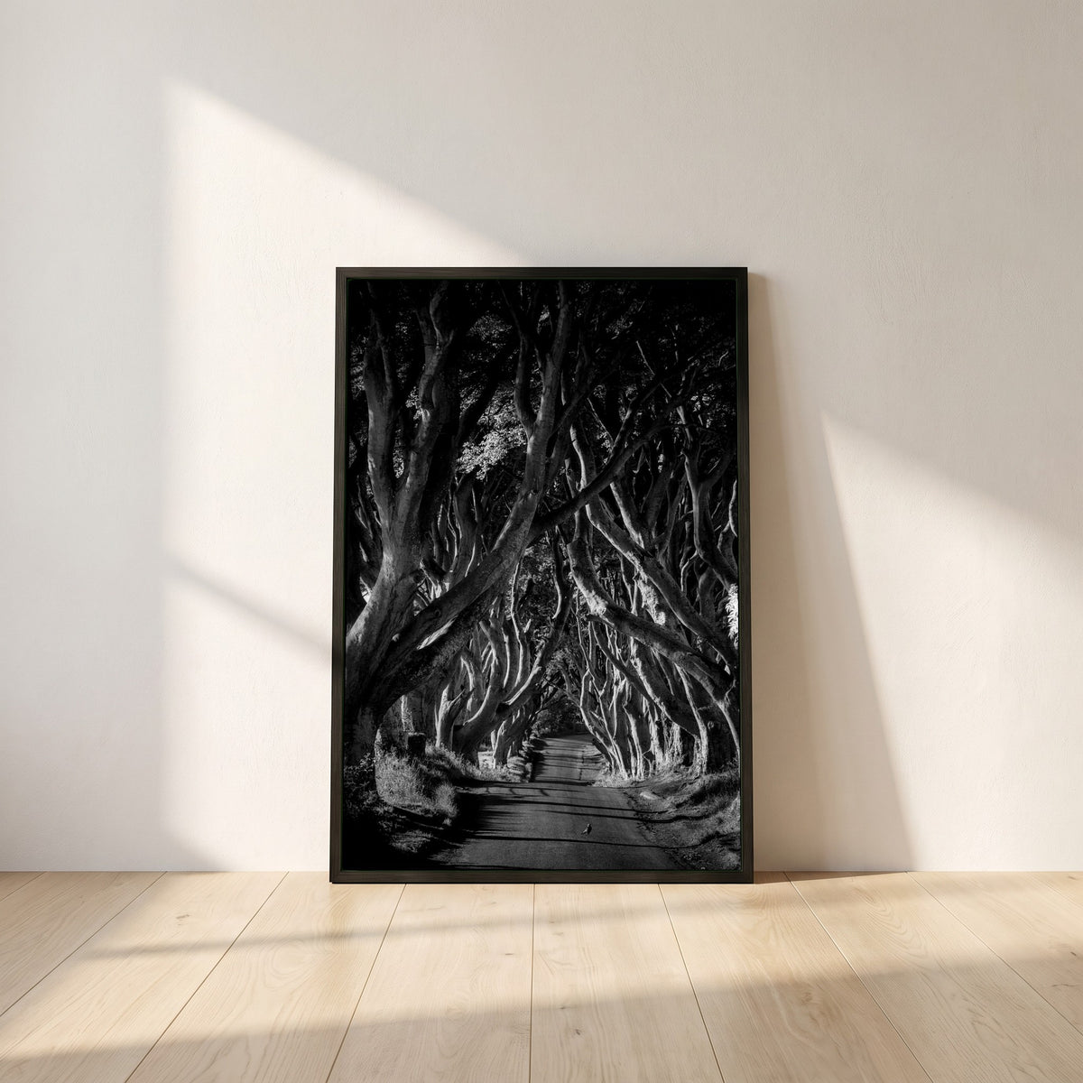 Dark Hedges framed print in a black frame leaning against a white plaster wall on oak floorboards in morning light