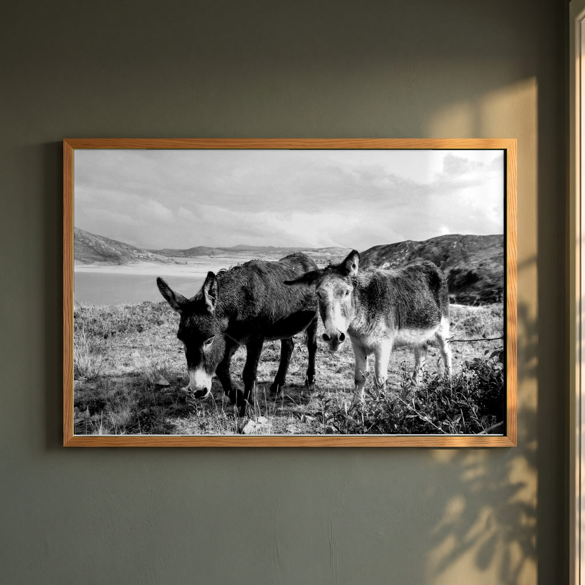 Donegal framed print in a natural oak frame on a dark green wall beside a window, dappled plant shadow