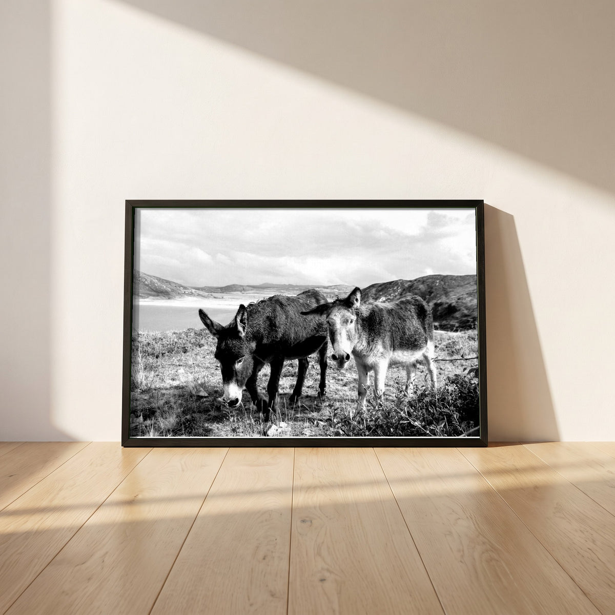 Donegal framed print in a black frame leaning against a white plaster wall on oak floorboards in morning light