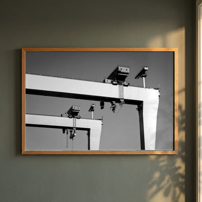 Harland & Wolff Cranes, Belfast framed print in a natural oak frame on a dark green wall beside a window, dappled plant shadow