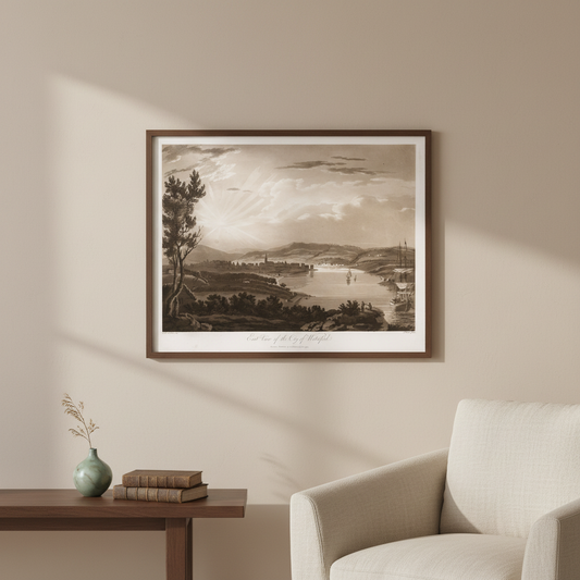 East View of the City of Waterford aquatint by Thomas Sautelle Roberts framed above a side table