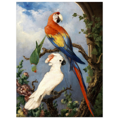 Paroquets by Edward Henry Murphy archival giclée art print (unframed)