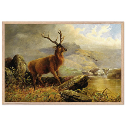 Stag at Mountain Stream by Henry Morris in a natural oak frame, straight-on view